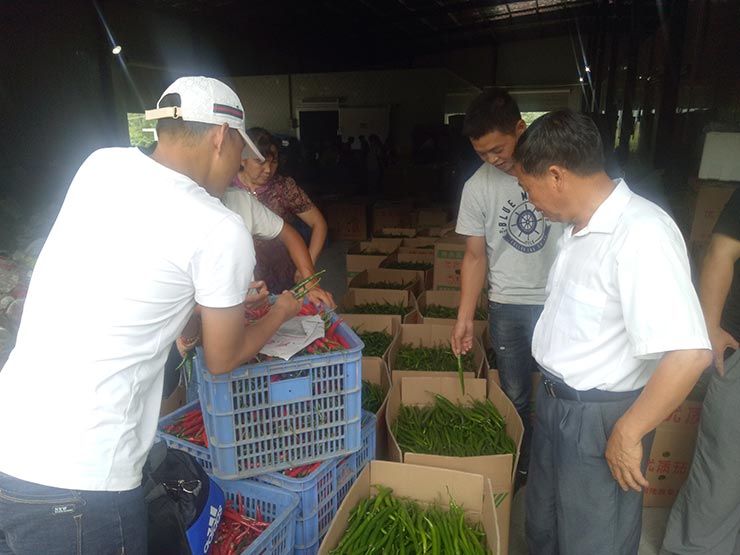 yp�ֻ���������Ϸ(�й�)�ٷ���վ