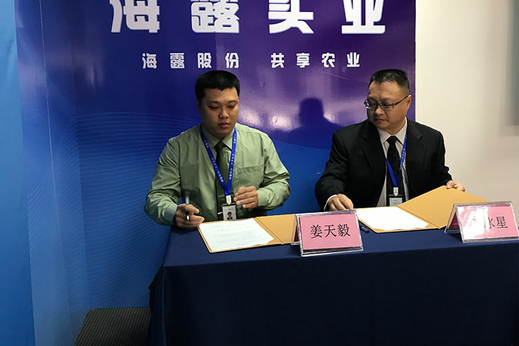 yp�ֻ���������Ϸ(�й�)�ٷ���վ