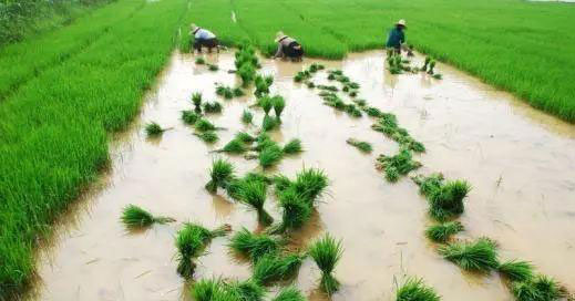 yp�ֻ���������Ϸ(�й�)�ٷ���վ