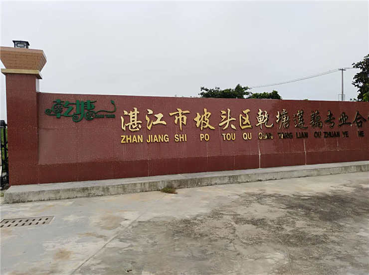 yp�ֻ���������Ϸ(�й�)�ٷ���վ