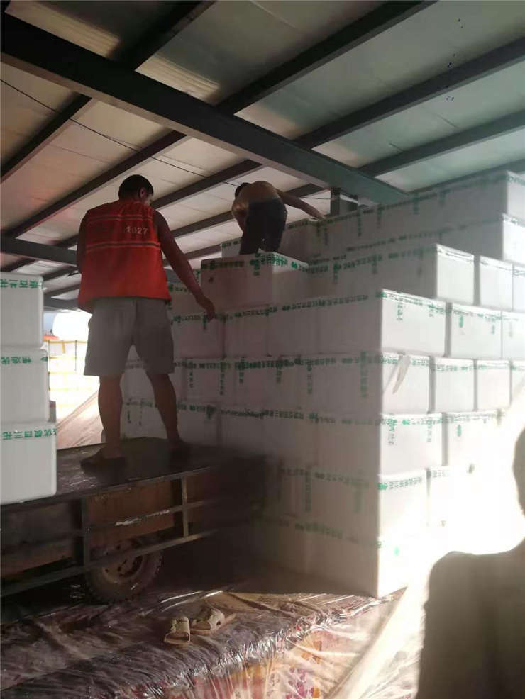 yp�ֻ���������Ϸ(�й�)�ٷ���վ