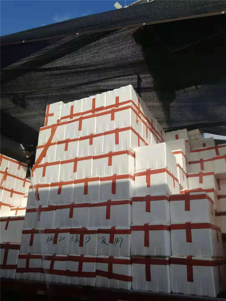 yp�ֻ���������Ϸ(�й�)�ٷ���վ