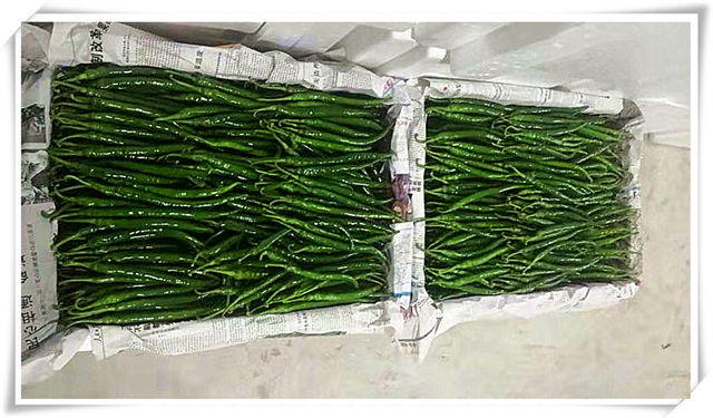 yp�ֻ���������Ϸ(�й�)�ٷ���վ