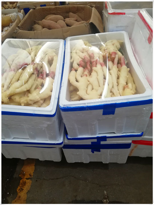 yp�ֻ���������Ϸ(�й�)�ٷ���վ