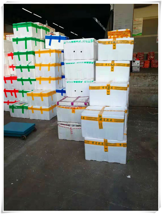 yp�ֻ���������Ϸ(�й�)�ٷ���վ