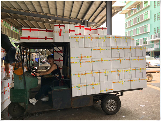 yp�ֻ���������Ϸ(�й�)�ٷ���վ