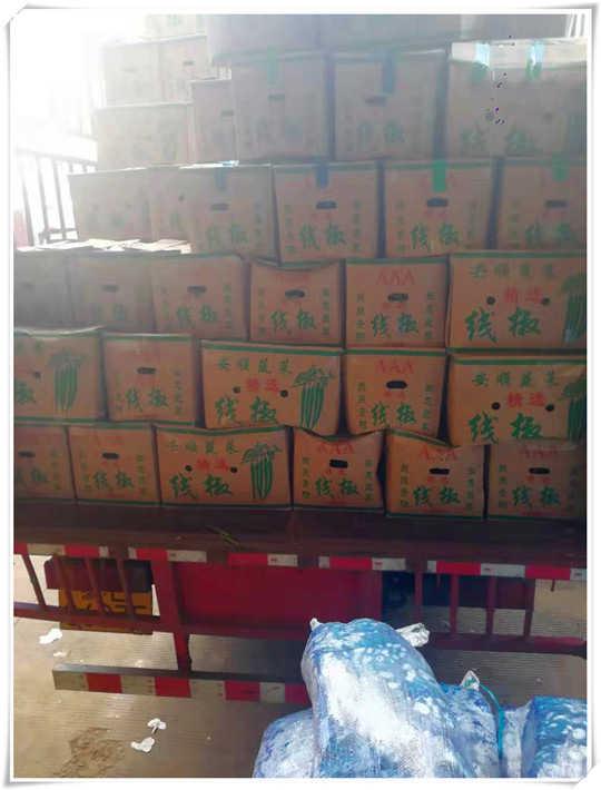 yp�ֻ���������Ϸ(�й�)�ٷ���վ