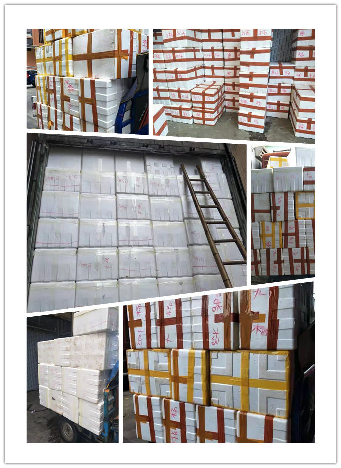 yp�ֻ���������Ϸ(�й�)�ٷ���վ