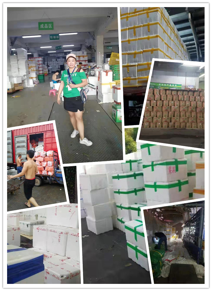 yp�ֻ���������Ϸ(�й�)�ٷ���վ