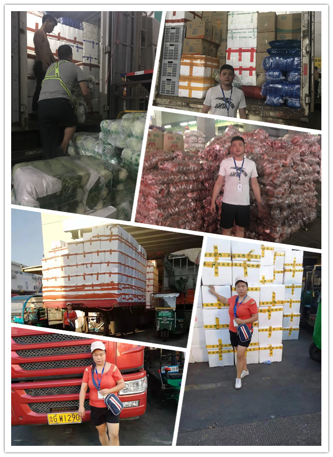 yp�ֻ���������Ϸ(�й�)�ٷ���վ