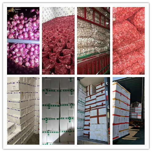 yp�ֻ���������Ϸ(�й�)�ٷ���վ