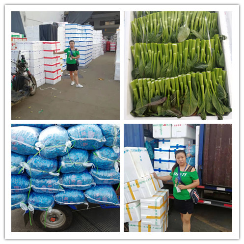 yp�ֻ���������Ϸ(�й�)�ٷ���վ