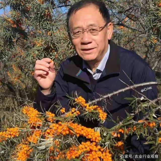 yp�ֻ���������Ϸ(�й�)�ٷ���վ