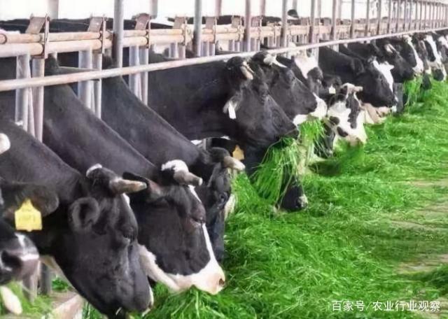 yp�ֻ���������Ϸ(�й�)�ٷ���վ