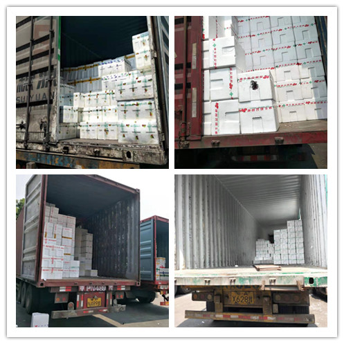 yp�ֻ���������Ϸ(�й�)�ٷ���վ