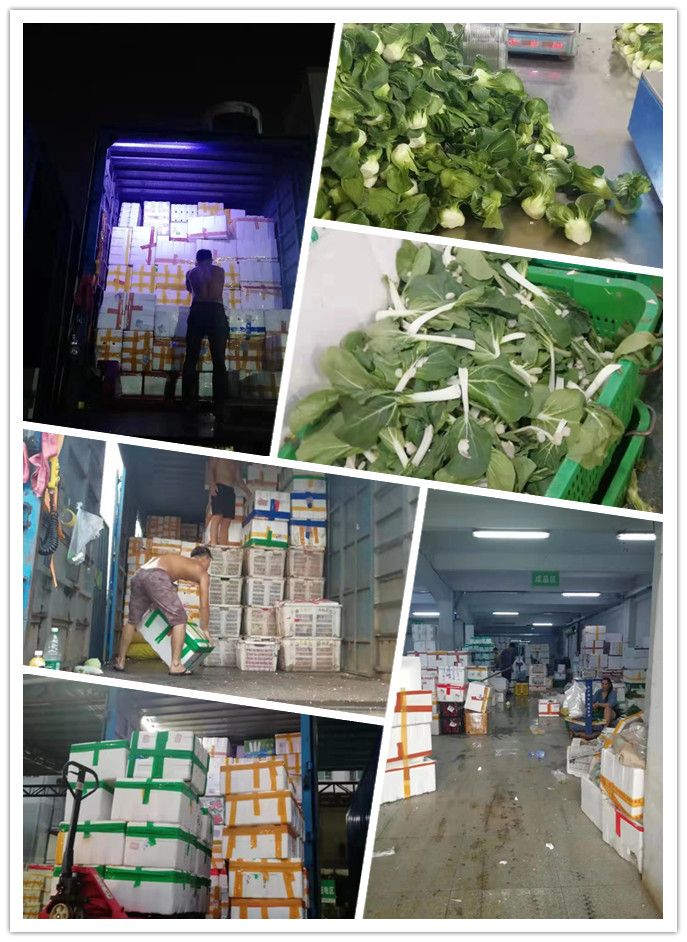 yp�ֻ���������Ϸ(�й�)�ٷ���վ