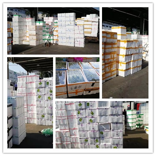 yp�ֻ���������Ϸ(�й�)�ٷ���վ