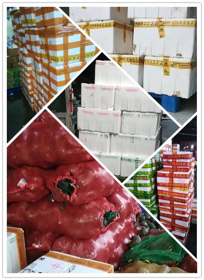 yp�ֻ���������Ϸ(�й�)�ٷ���վ