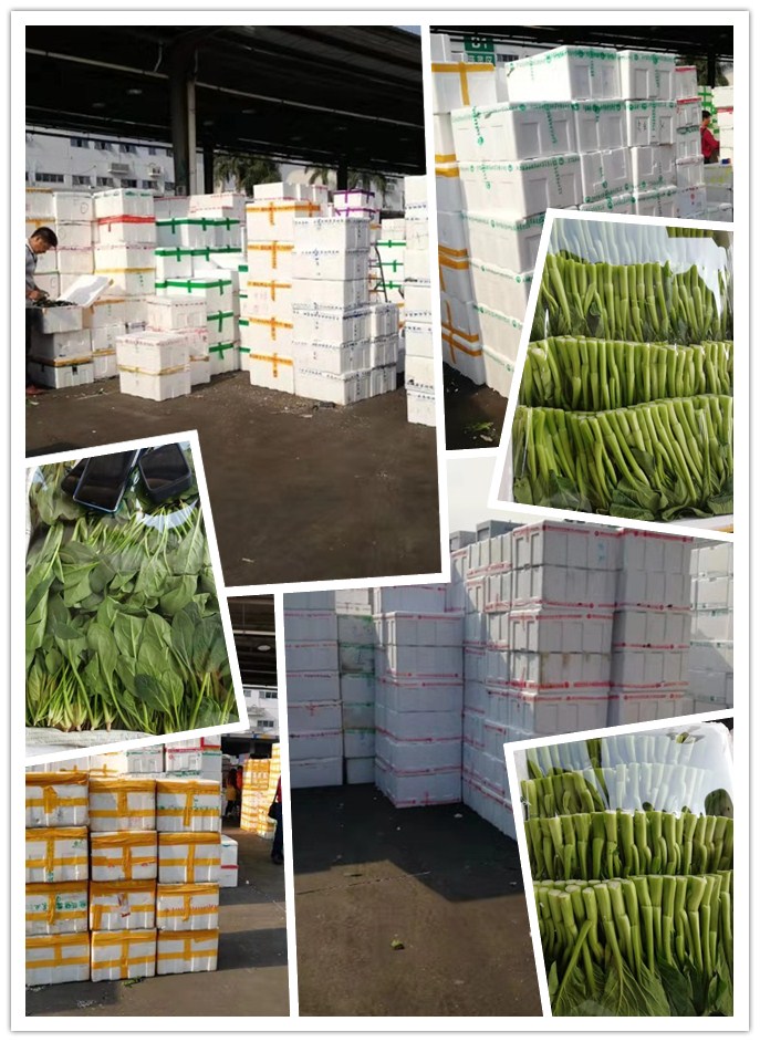 yp�ֻ���������Ϸ(�й�)�ٷ���վ