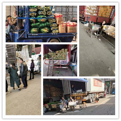 yp�ֻ���������Ϸ(�й�)�ٷ���վ