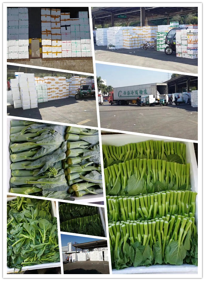 yp�ֻ���������Ϸ(�й�)�ٷ���վ