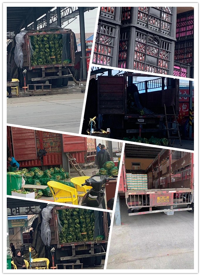 yp�ֻ���������Ϸ(�й�)�ٷ���վ