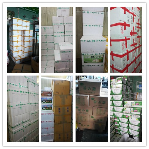 yp�ֻ���������Ϸ(�й�)�ٷ���վ