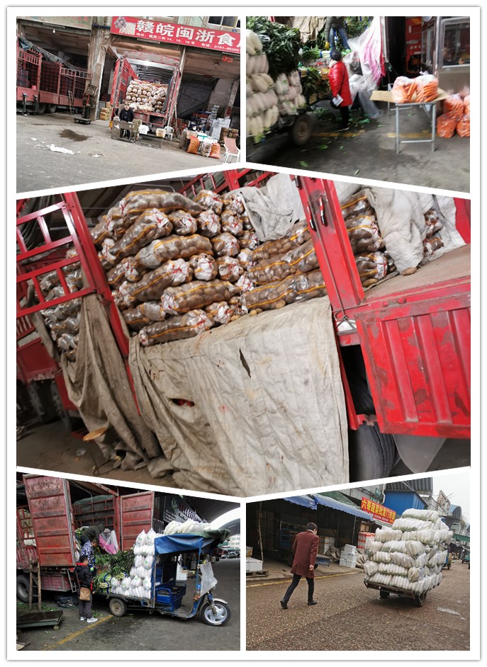 yp�ֻ���������Ϸ(�й�)�ٷ���վ