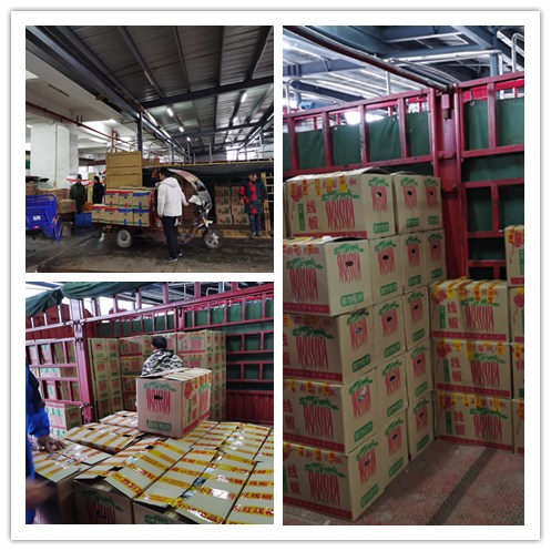 yp�ֻ���������Ϸ(�й�)�ٷ���վ