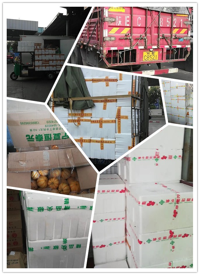 yp�ֻ���������Ϸ(�й�)�ٷ���վ