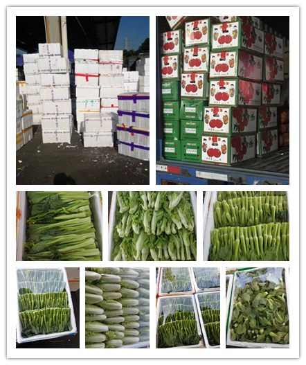 yp�ֻ���������Ϸ(�й�)�ٷ���վ