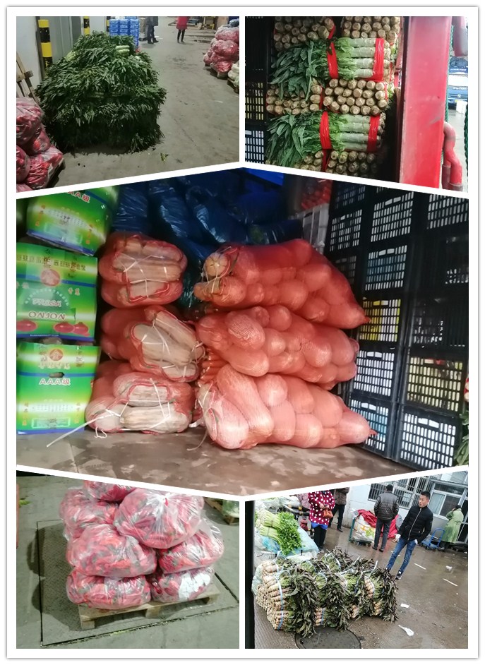 yp�ֻ���������Ϸ(�й�)�ٷ���վ