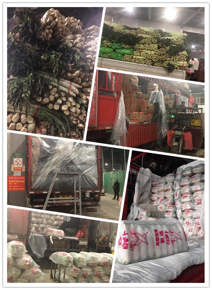 yp�ֻ���������Ϸ(�й�)�ٷ���վ