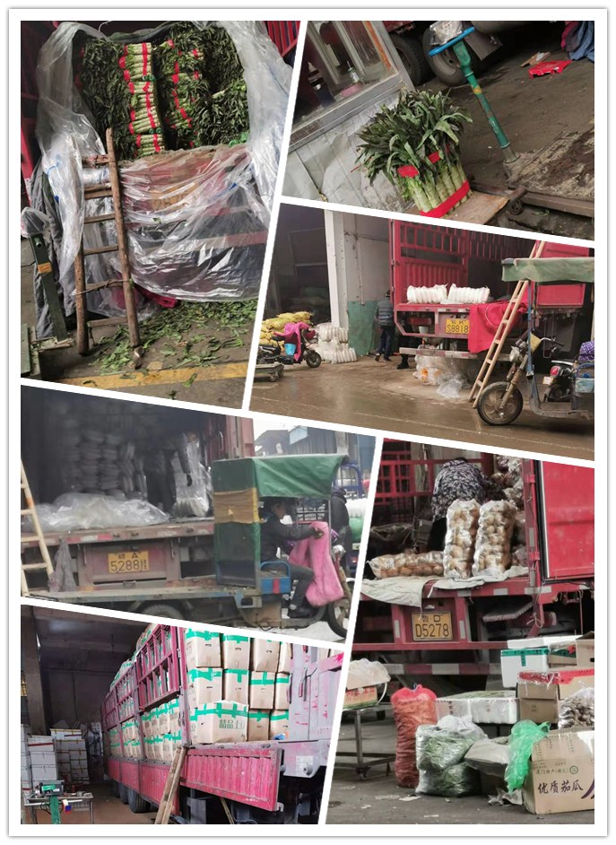 yp�ֻ���������Ϸ(�й�)�ٷ���վ