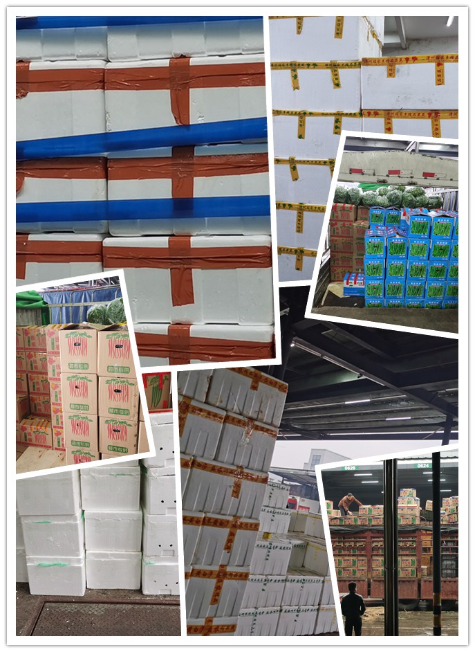 yp�ֻ���������Ϸ(�й�)�ٷ���վ