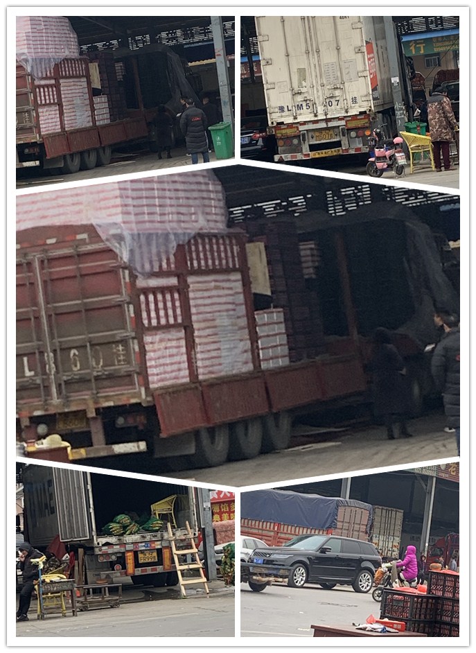 yp�ֻ���������Ϸ(�й�)�ٷ���վ