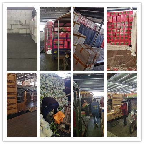 yp�ֻ���������Ϸ(�й�)�ٷ���վ