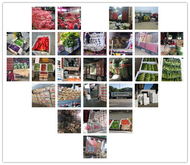 yp�ֻ���������Ϸ(�й�)�ٷ���վ