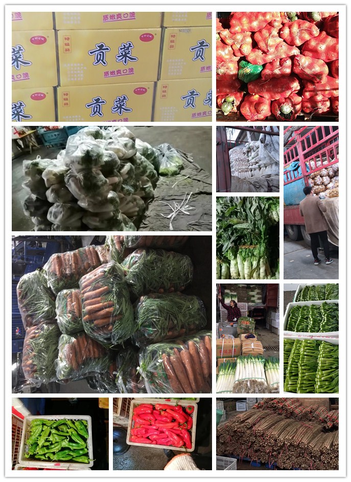 yp�ֻ���������Ϸ(�й�)�ٷ���վ