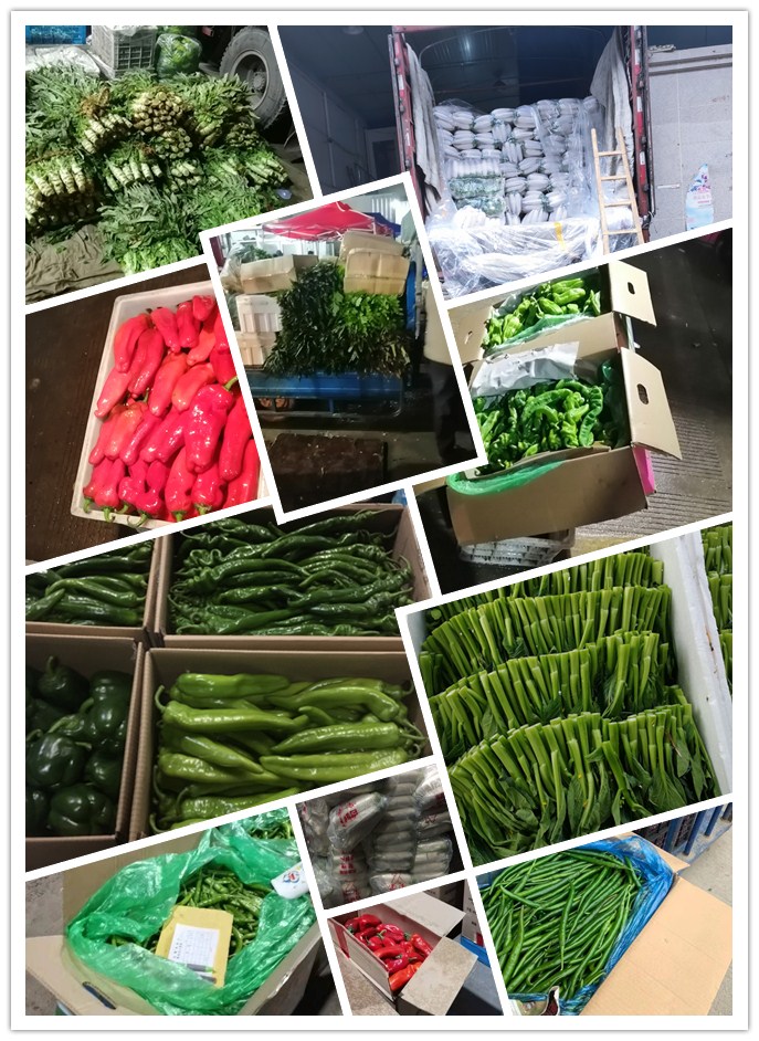 yp�ֻ���������Ϸ(�й�)�ٷ���վ