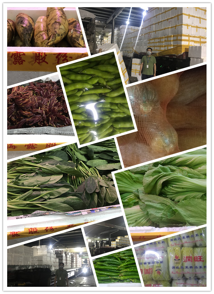 yp�ֻ���������Ϸ(�й�)�ٷ���վ