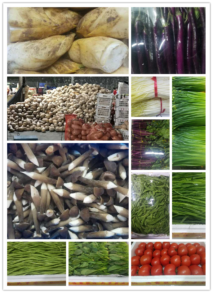 yp�ֻ���������Ϸ(�й�)�ٷ���վ