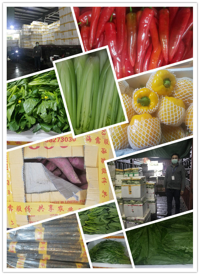 yp�ֻ���������Ϸ(�й�)�ٷ���վ