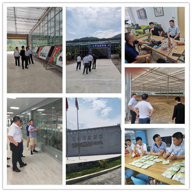 yp�ֻ���������Ϸ(�й�)�ٷ���վ