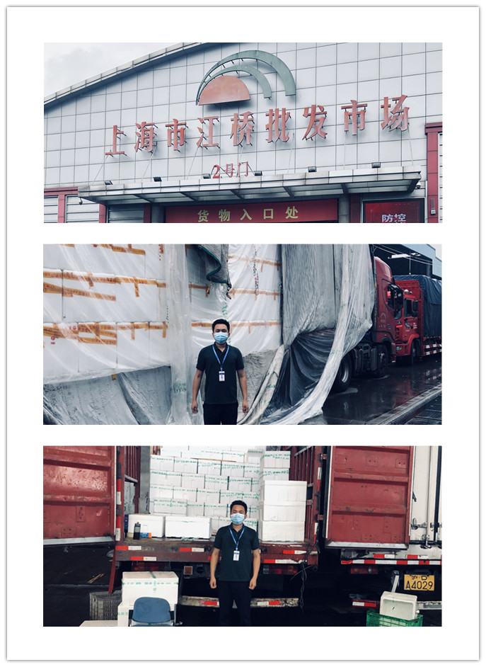 yp�ֻ���������Ϸ(�й�)�ٷ���վ