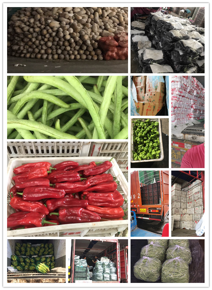 yp�ֻ���������Ϸ(�й�)�ٷ���վ