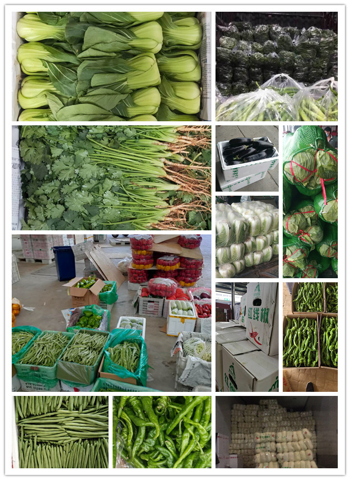 yp�ֻ���������Ϸ(�й�)�ٷ���վ