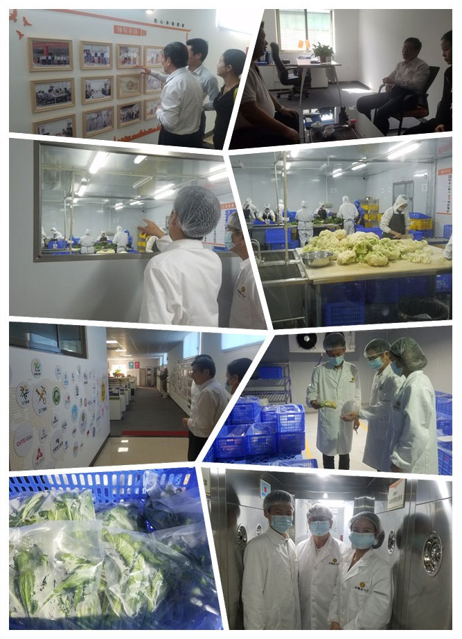 yp�ֻ���������Ϸ(�й�)�ٷ���վ