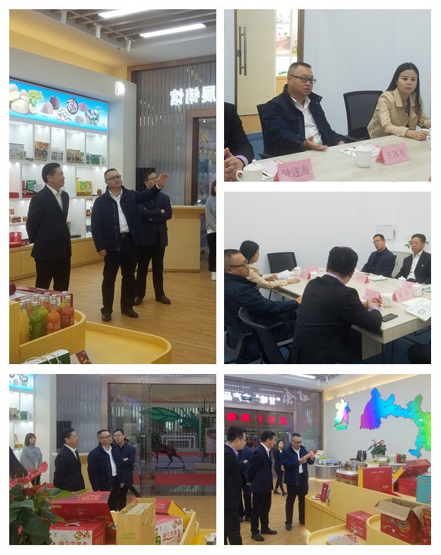 yp�ֻ���������Ϸ(�й�)�ٷ���վ