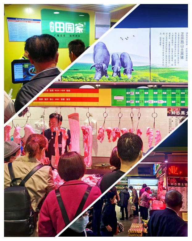 yp�ֻ���������Ϸ(�й�)�ٷ���վ